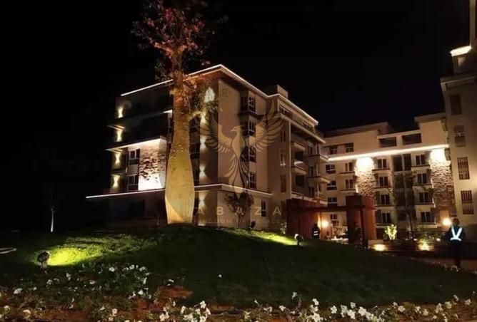 66683465 - صورة العقار 2