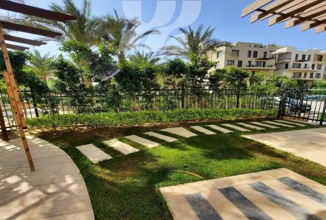 116495431 - Property Image 3