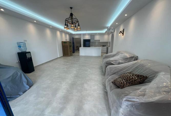 55008910 - صورة العقار 3