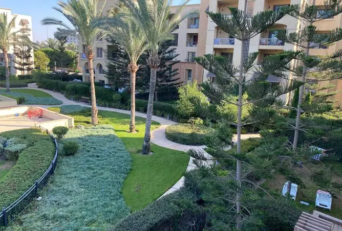 119145766 - صورة العقار 3