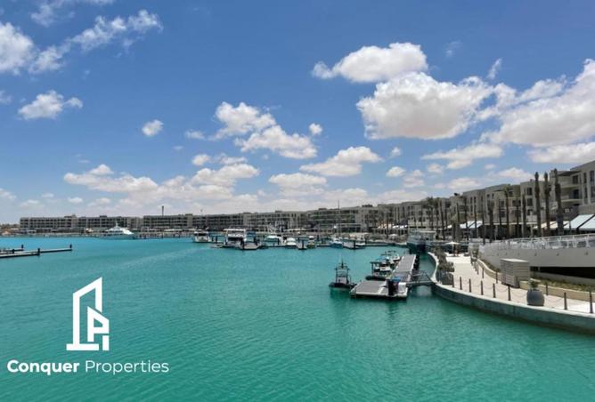 57749112 - Property Image 3