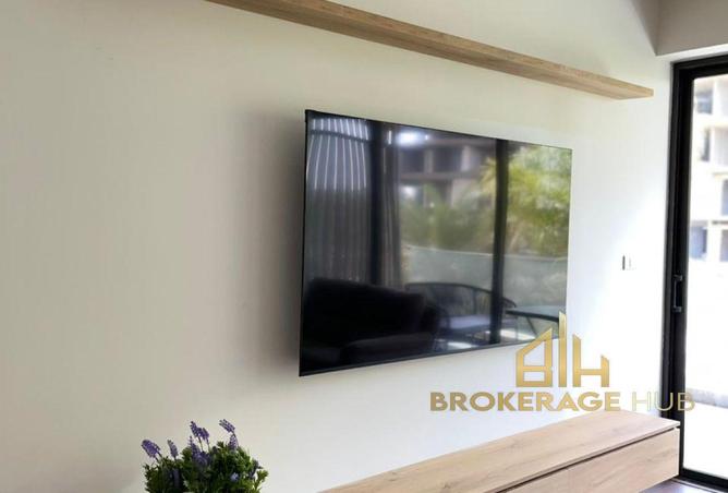 75953621 - Property Image 2