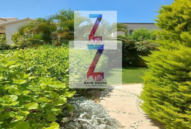 66175797 - Property Image 3