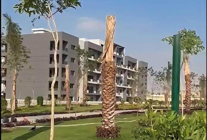 8546415 - Property Image 3