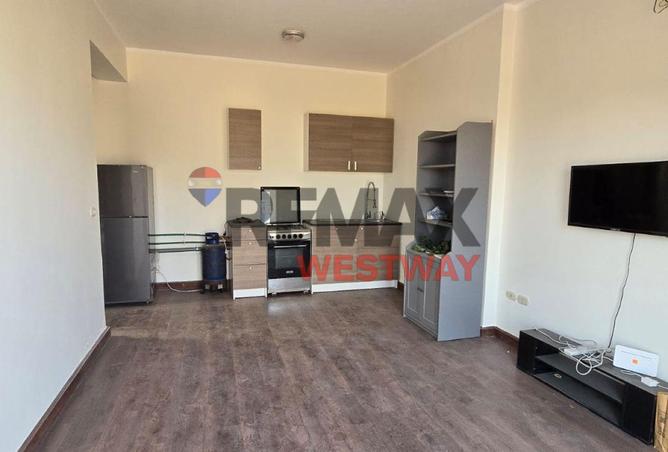 64903084 - Property Image 3