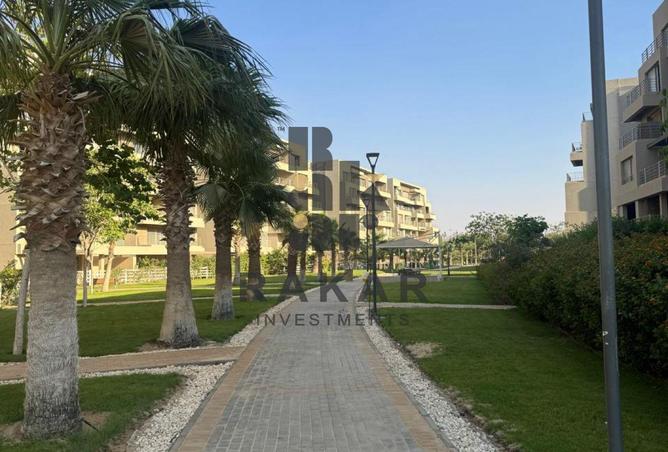 99388365 - صورة العقار 3