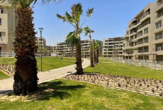 64895817 - صورة العقار 3