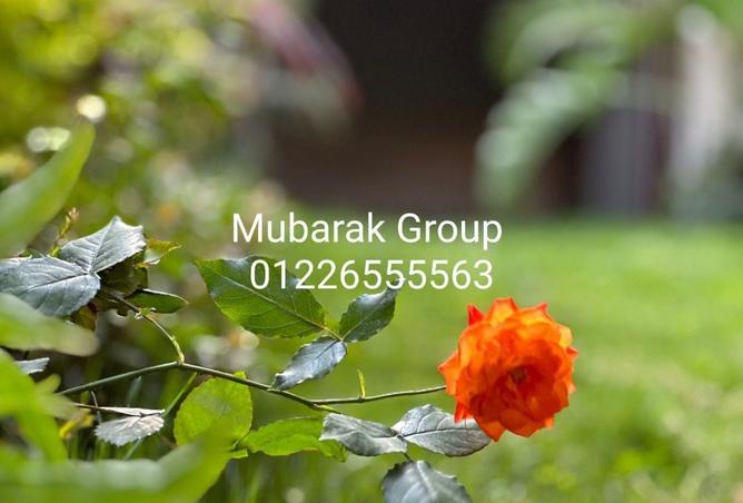 70362050 - صورة العقار 3