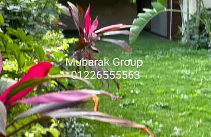 شقة - 3 غرف نوم - 2 حمامات للايجار في سرايات المعادي - حي المعادي - القاهرة