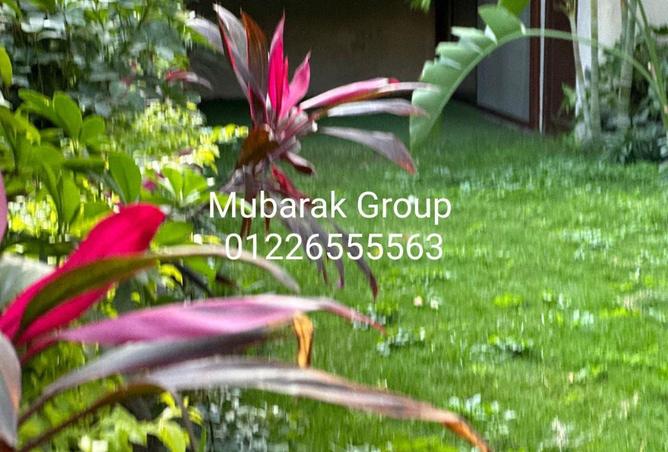 70362050 - الصورة الرئيسية للعقار