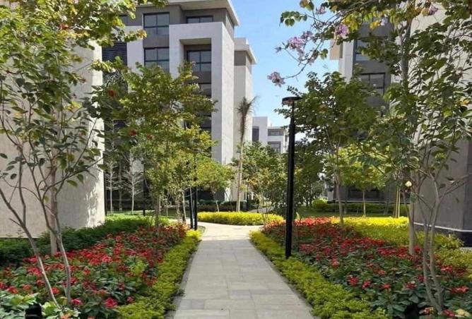 8642363 - Property Image 3