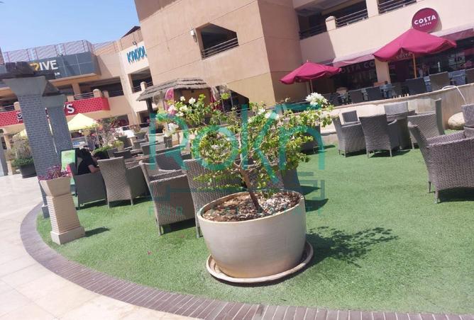 61693764 - صورة العقار 3