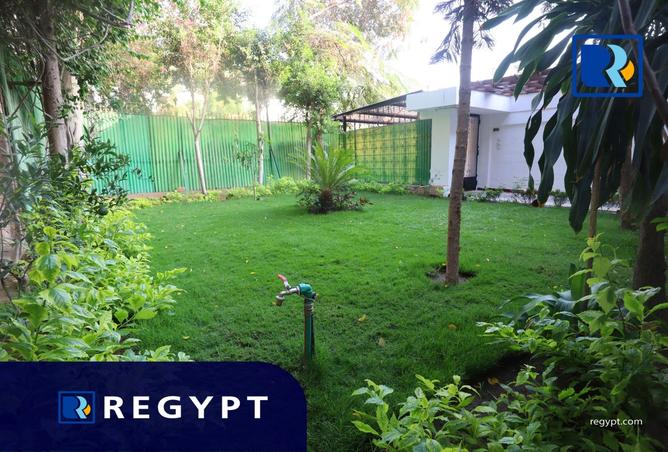 100919143 - صورة العقار 3