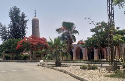 Land - Studio for sale in Ofok - Cairo Alexandria Desert Road - 6 October City - Giza