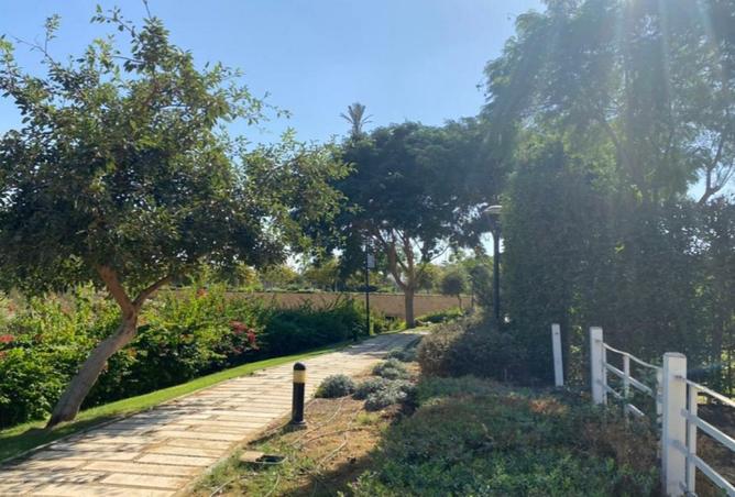 64391893 - صورة العقار 3