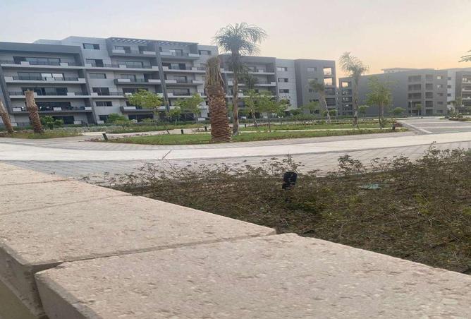 64384233 - Property Image 3