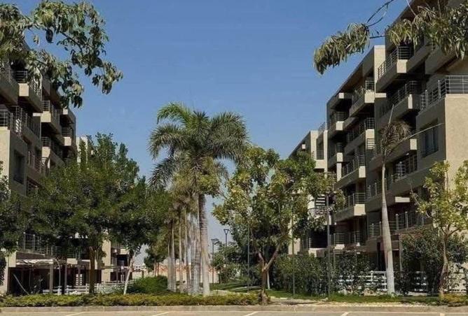 52186439 - Property Image 2