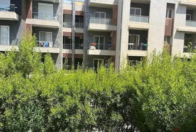 8626161 - صورة العقار 3