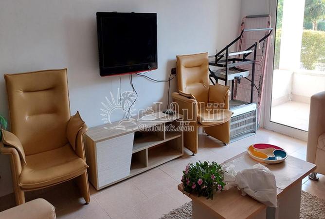 63388816 - صورة العقار 2