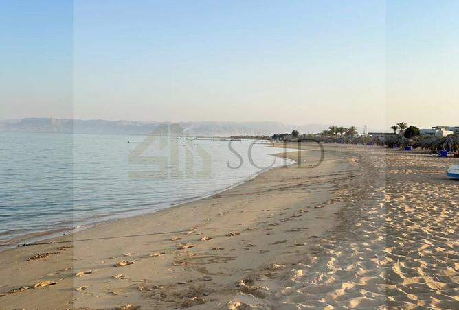 92144415 - صورة العقار 2