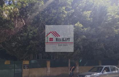 Whole Building - 7+ Bedrooms - 4 Bathrooms for sale in Mohandessin - Giza