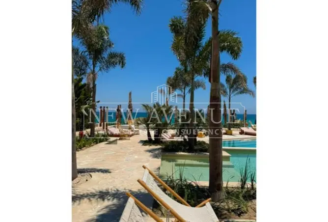 119839590 - Property Image 3