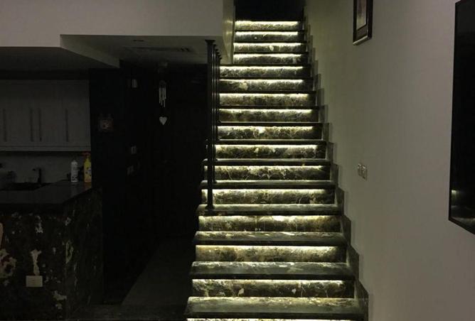 81568001 - Property Image 3
