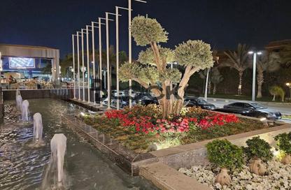 مطعم - استوديو - 1 حمام للايجار في سنترادا بلازا - ميدان جهينة - مدينة 6 أكتوبر - الجيزة