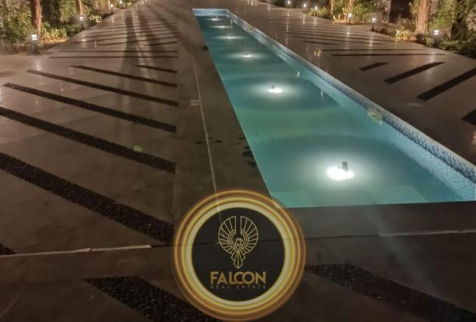 8688797 - Property Image 3