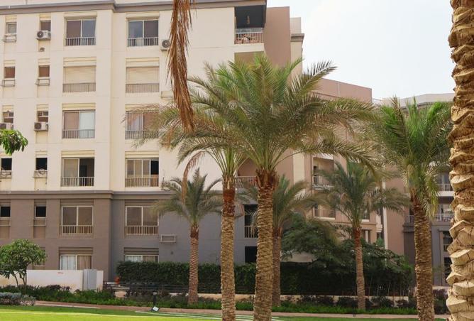 98824656 - Property Main Image