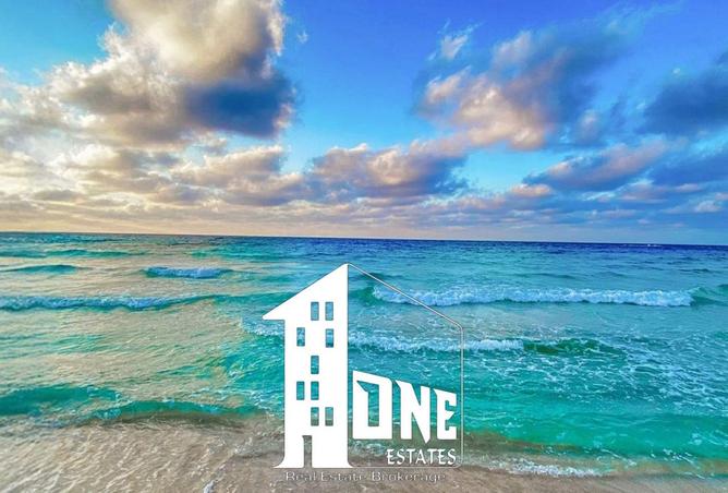 8534429 - Property Image 3