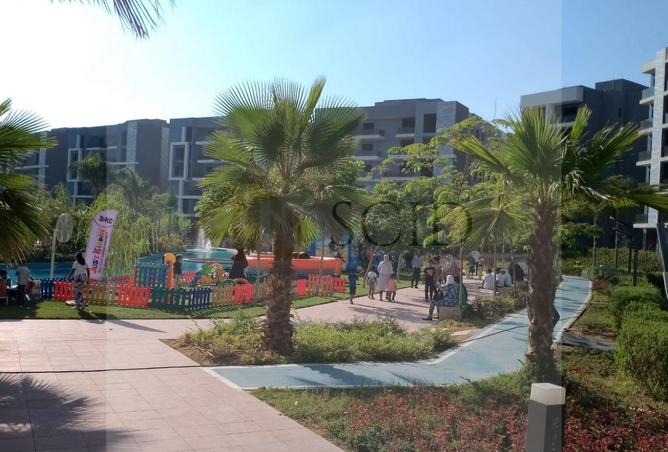 55246750 - Property Image 3