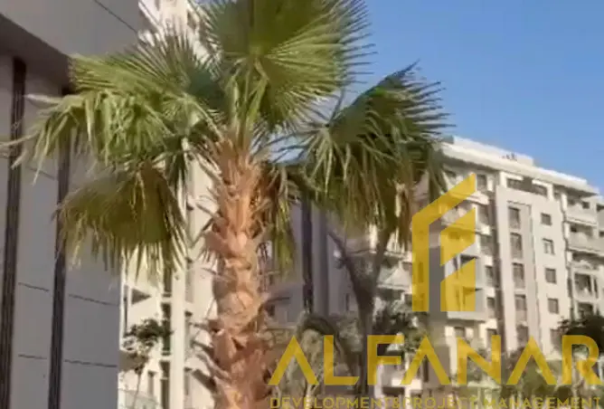 117023978 - صورة العقار 2