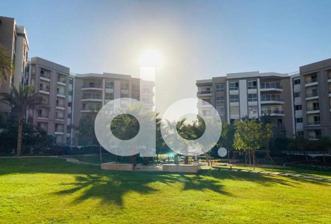 63393364 - Property Image 3