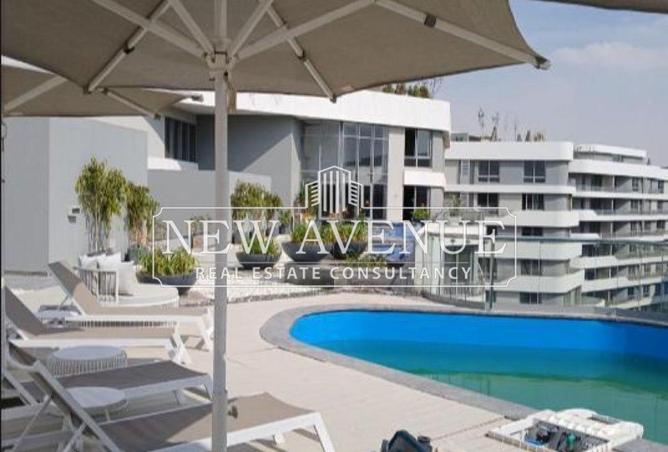 8659829 - Property Image 3