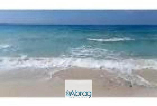 8510096 - صورة العقار 2