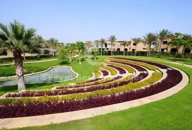 115442136 - صورة العقار 3