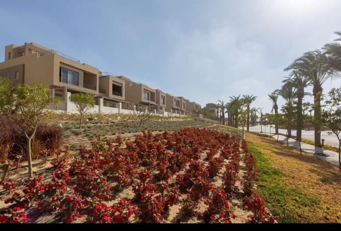 98830965 - Property Image 3