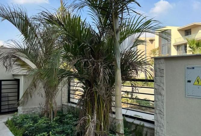 105168458 - صورة العقار 3