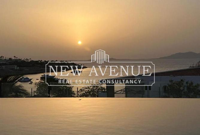 61203629 - صورة العقار 3