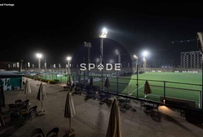 58740391 - Property Image 3