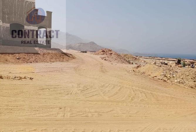 59497819 - صورة العقار 3