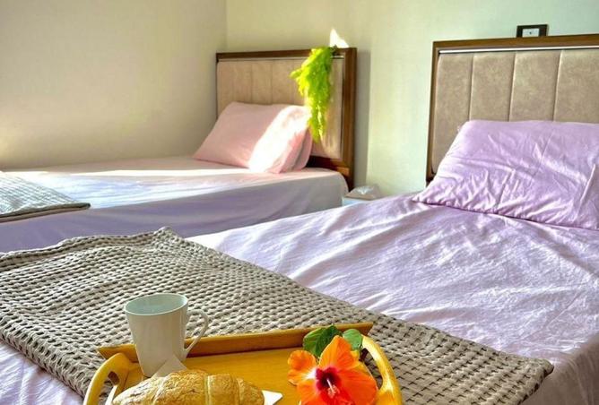 70375193 - Property Image 3