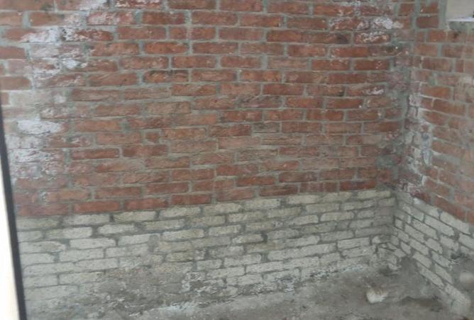 55745934 - صورة العقار 3