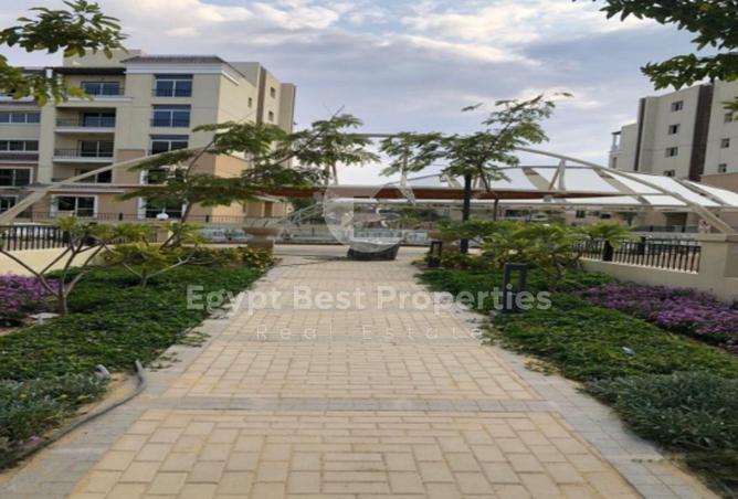 66436375 - صورة العقار 2