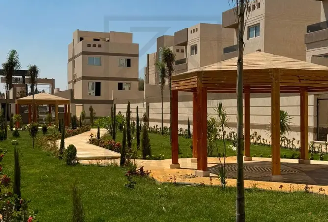 111600020 - صورة العقار 3