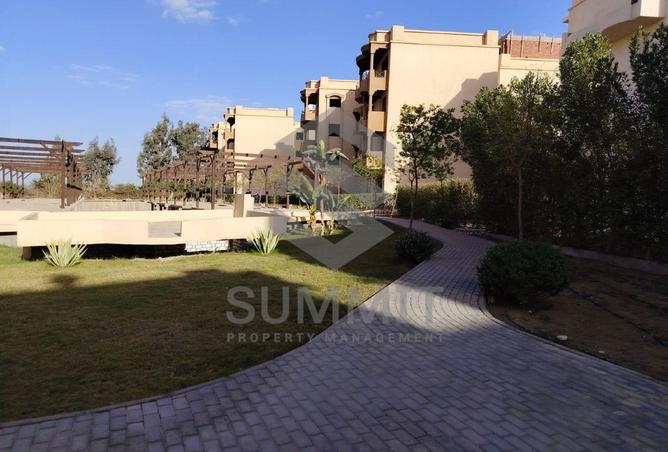 70098374 - Property Image 3