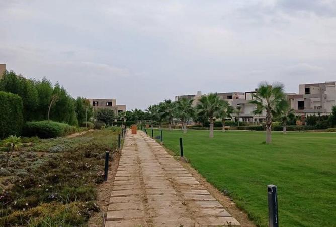 63138811 - صورة العقار 3