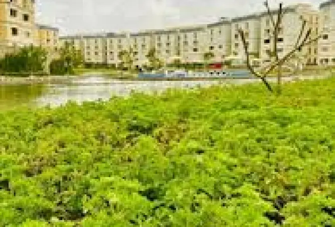 109915239 - صورة العقار 3