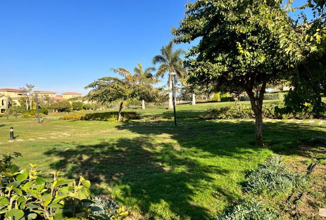 94925319 - صورة العقار 3